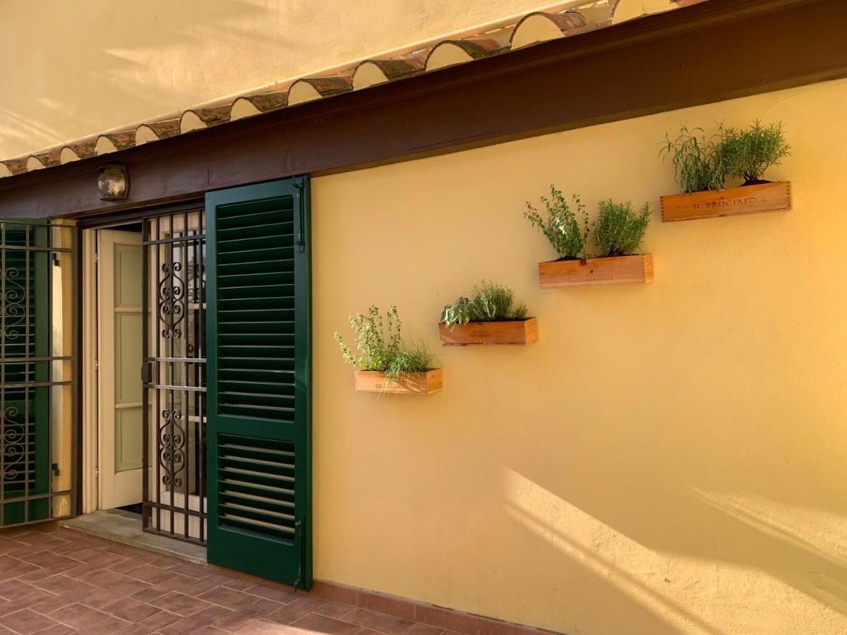 La Terrazza Di Via Elisa Bed & Breakfast Lucca Exterior foto